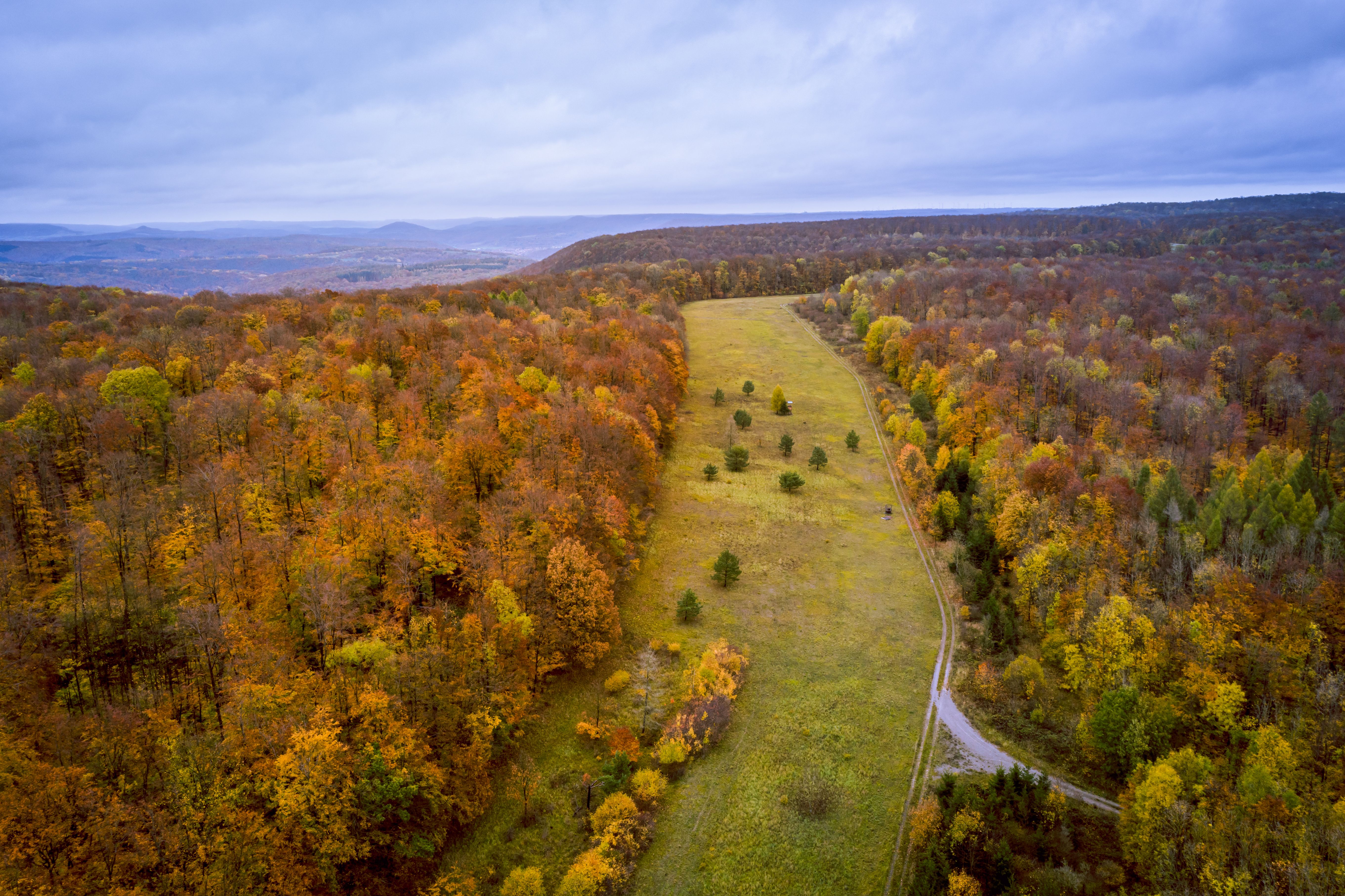 Grünes Band bei Volkenroda – Herbstwald über bewaldeten Hügeln (Luftbild)